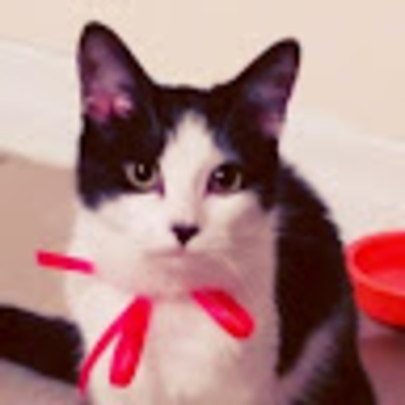 Meet your Posher, Marina - Picture 1 of 1